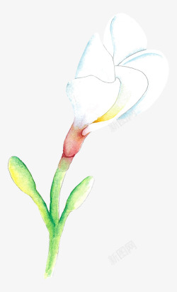 手绘水彩森系植物花卉火烈鸟贺卡装饰图案手账幅27素材