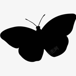各类动物昆虫黑白剪影AI矢量图案图标合集518素材