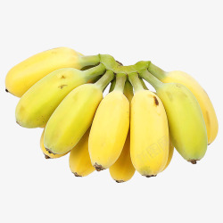 苹果蕉苹果蕉5斤广东小米蕉香蕉皇帝蕉新鲜应季水果批发10高清图片