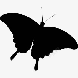 335各类动物昆虫黑白剪影AI矢量图案图标合集335高清图片