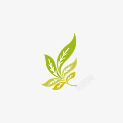 叶子2素材