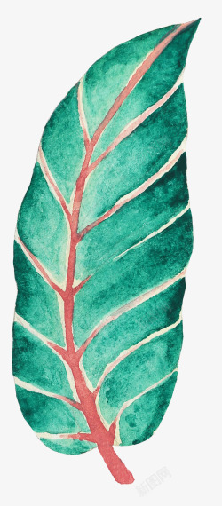 手绘水彩森系植物花卉火烈鸟贺卡装饰图案手账幅51素材