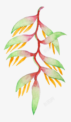 手绘水彩森系植物花卉火烈鸟贺卡装饰图案手账幅30素材