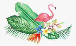 手绘水彩森系植物花卉火烈鸟贺卡装饰图案手账幅7素材