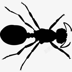 各类动物昆虫黑白剪影AI矢量图案图标合集131素材