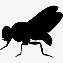 各类动物昆虫黑白剪影AI矢量图案图标合集509素材