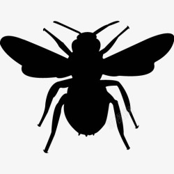 各类动物昆虫黑白剪影AI矢量图案图标合集746素材