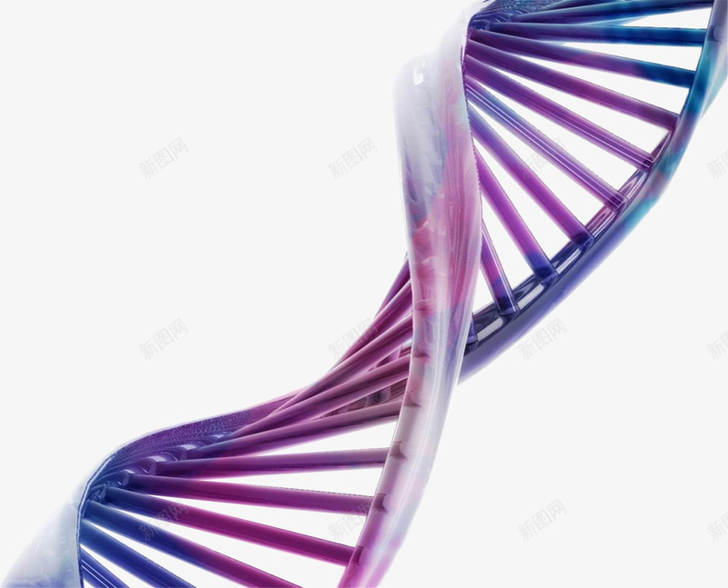 DNA生物基因化学分子结构医疗海报模板下载2675png免抠素材_新图网 https://ixintu.com 生物 基因 化学 分子结构 医疗 海报 模板下载