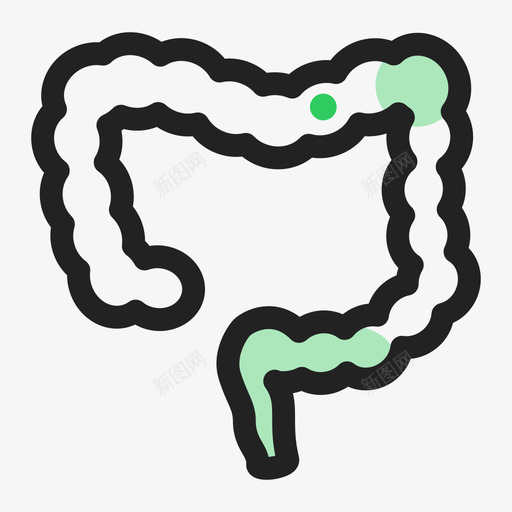 内分泌科svg_新图网 https://ixintu.com 内分泌科