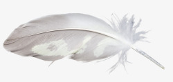 动物白色羽毛飘落照片装饰特效素材