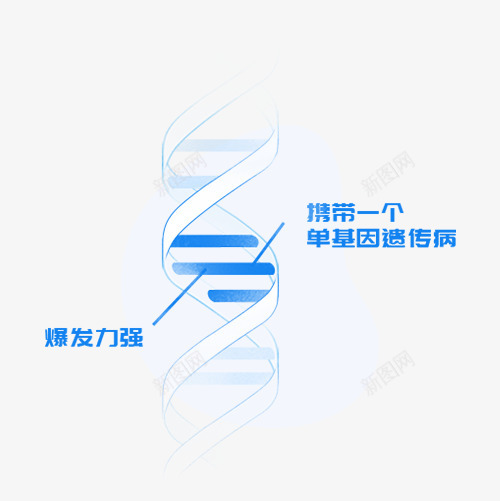水母基因个人基因组检测分析服务平台png免抠素材_新图网 https://ixintu.com 水母 基因 个人 基因组 检测 分析 服务平台
