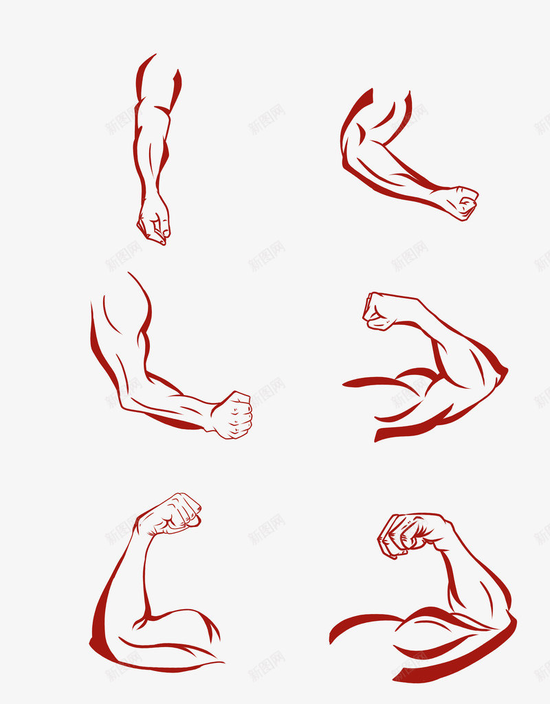创意线条简约手绘肌肉胳膊png免抠素材_新图网 https://ixintu.com 创意 线条 简约 手绘 肌肉 胳膊