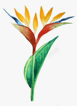 手绘水彩森系植物花卉火烈鸟贺卡装饰图案手账幅29素材