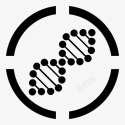 多联017多联靶向抗瘤免疫细胞高清图片