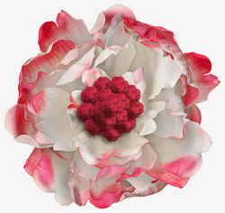 欧式复古巴黎浪漫玫瑰花朵装饰图案影楼52素材