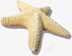 海星1素材