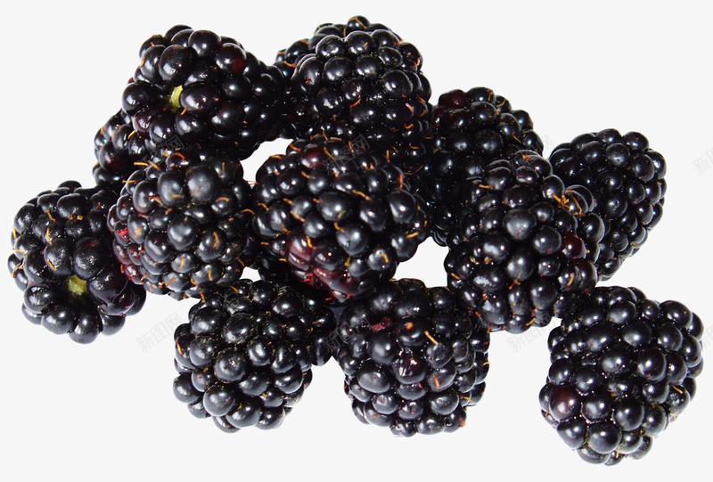 黑莓图水果食物png免抠素材_新图网 https://ixintu.com 莓图 水果 食物