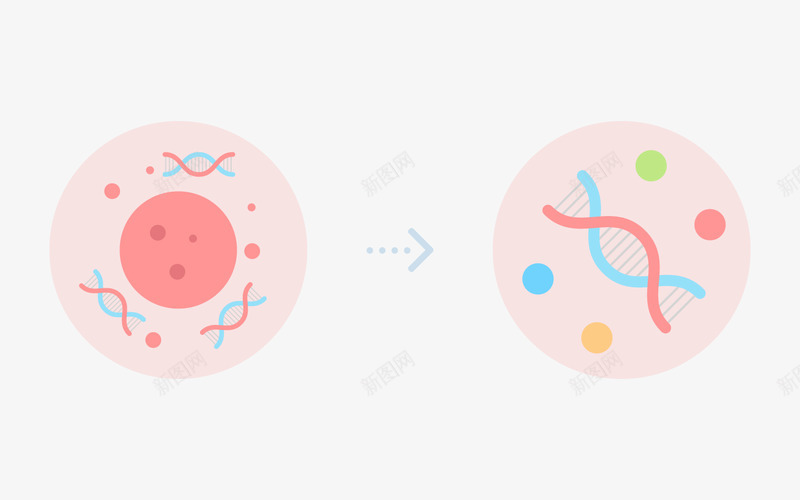 WeGene微基因专注个人基因组检测与分析png免抠素材_新图网 https://ixintu.com 基因 专注 个人 基因组 检测 分析
