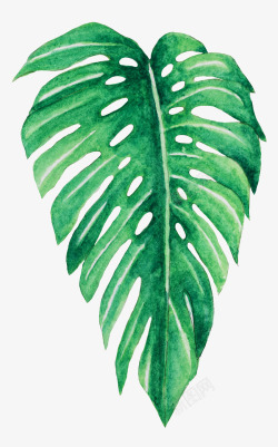 森系图案被子手绘水彩森系植物花卉火烈鸟贺卡装饰图案手账幅49高清图片