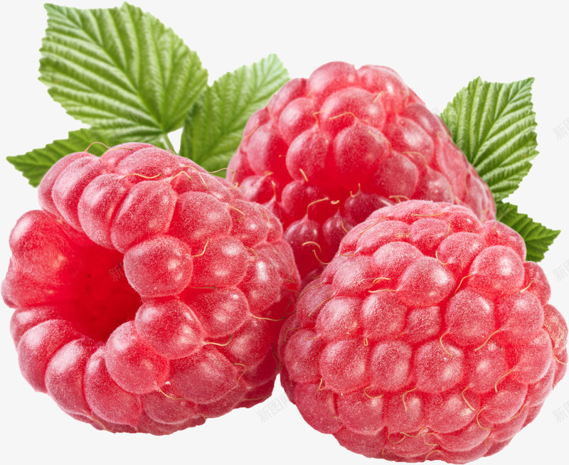 树莓图水果食物png免抠素材_新图网 https://ixintu.com 树莓 水果 食物