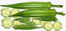 有机秋葵黄秋葵蔬菜有机收获高清图片