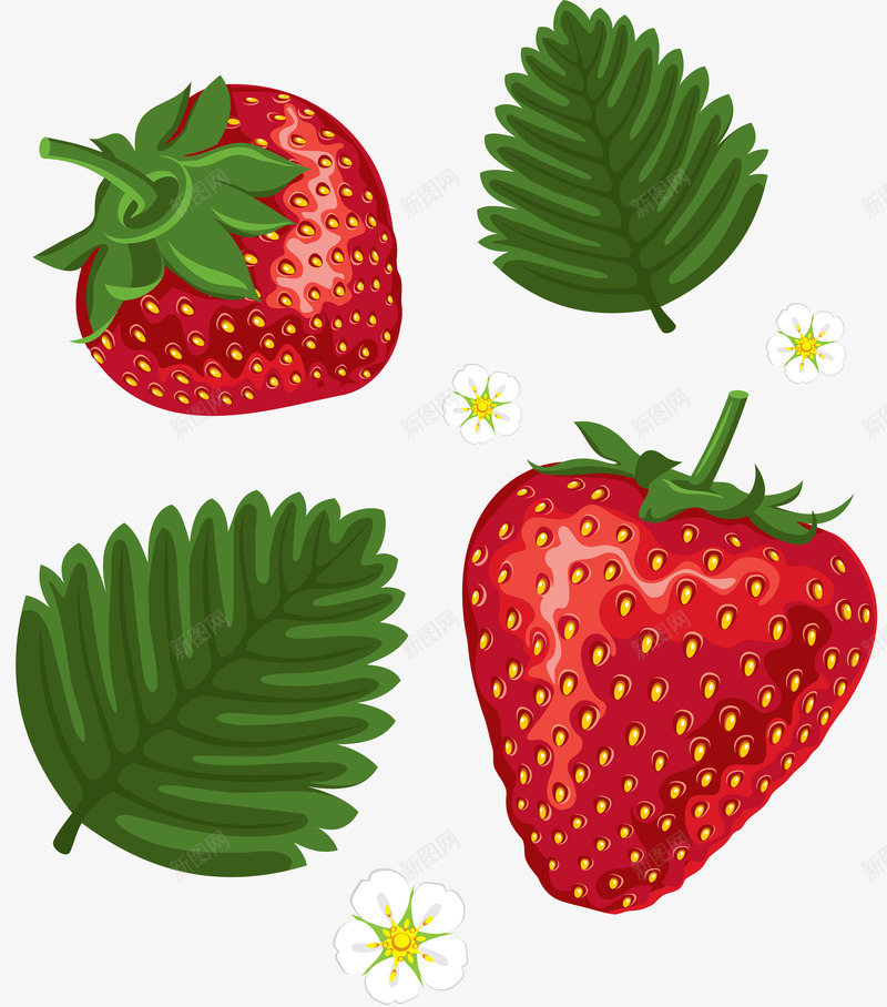 草莓食物水果免扣png免抠素材_新图网 https://ixintu.com 草莓 食物 水果 免扣