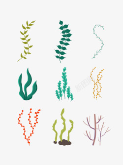 手绘海底绿色海草水草植物素材