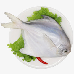 聚福鲜冷冻东海平鱼500g2条袋装白鲳银鲳海鲜年货素材