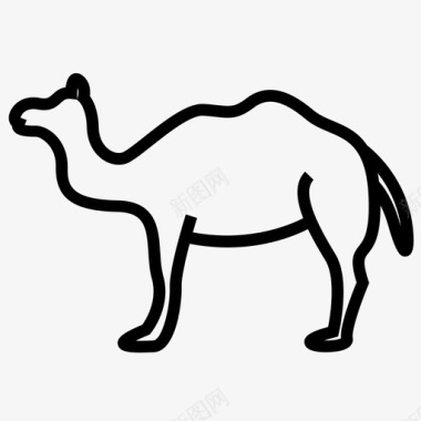 骆驼骆驼画骆驼动物图片图标