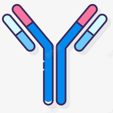 抗体解剖学11线状颜色图标