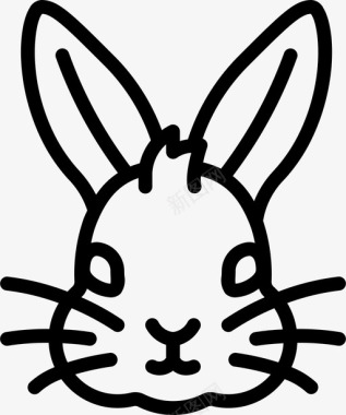 兔弹簧156直系图标