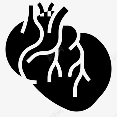心脏解剖学医疗保健图标