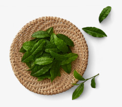绿色木盘晾晒茶叶免费下载植物素材