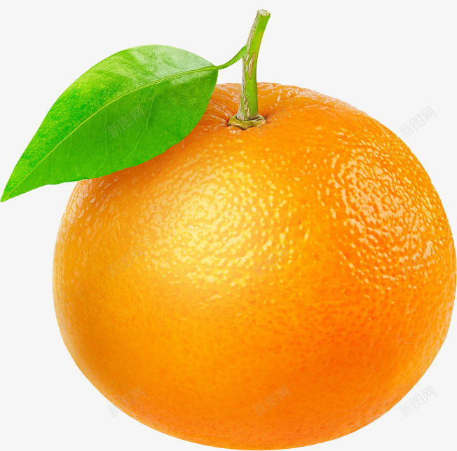 橙子单个png免抠素材_新图网 https://ixintu.com 橙子 单个