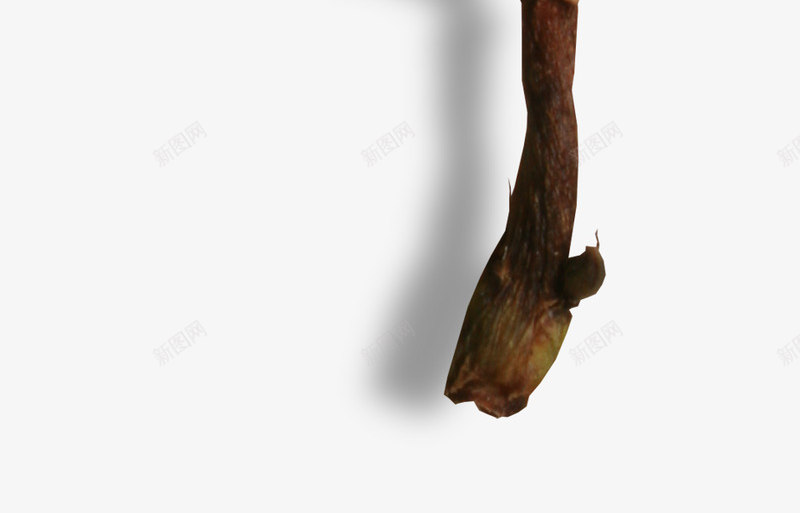 欧美万圣节恐怖装饰照片影楼后期免扣图案手账PS设计png免抠素材_新图网 https://ixintu.com 欧美 万圣节 恐怖 装饰 照片 影楼 后期 免扣 图案 手账 设计