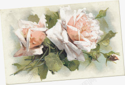 欧式复古古典唯美花卉纹理蕾丝图案手账设计PS68素材