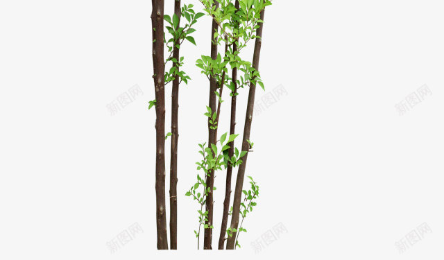 90后景观部落群316535930png免抠素材_新图网 https://ixintu.com 景观 部落