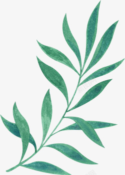 唯美森系树叶手绘绿色植物水彩线稿边框海报AI矢量素材