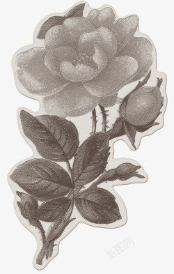 欧式复古古典唯美花卉纹理蕾丝图案手账设计PS83素材