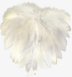 唯美欧式复古纹理鸽子花卉婚礼装饰图案手账127素材