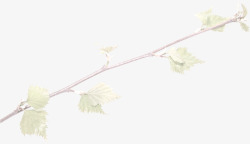 唯美欧式复古纹理鸽子花卉婚礼装饰图案手账7素材