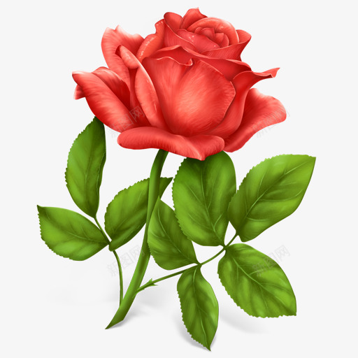 红色的玫瑰花图标png_新图网 https://ixintu.com 红色 玫瑰花 图标