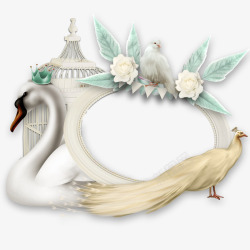唯美欧式复古纹理鸽子花卉婚礼装饰图案手账47素材