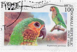 复古手绘水彩鸟类邮装饰免扣图案手账影楼设计PS89素材