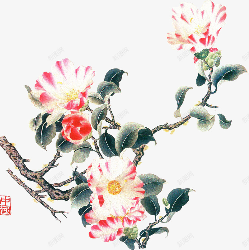中国风工笔画花png免抠素材_新图网 https://ixintu.com 中国 国风 工笔画
