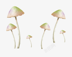 蘑菇4素材
