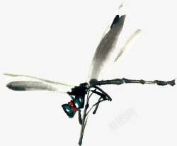 水墨蜻蜓中国风水墨风素材