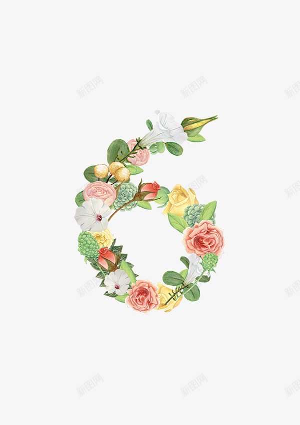 花卉数字图FloralNumbers1451980png_新图网 https://ixintu.com 花卉 数字
