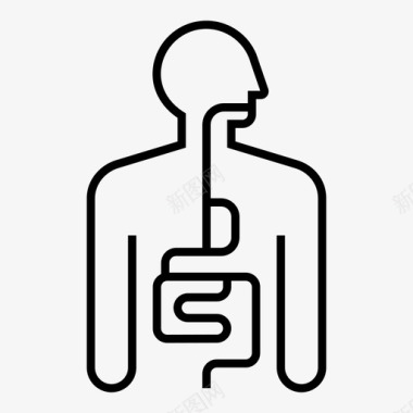 消化系统消化人体器官图标