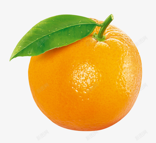 橙子橘子桔子png免抠素材_新图网 https://ixintu.com 橙子 橘子 桔子
